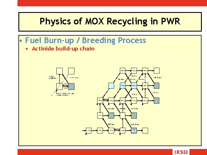 Physics of MOX Recycling in PWR • Fuel Burn-up / Breeding Process • Actinide