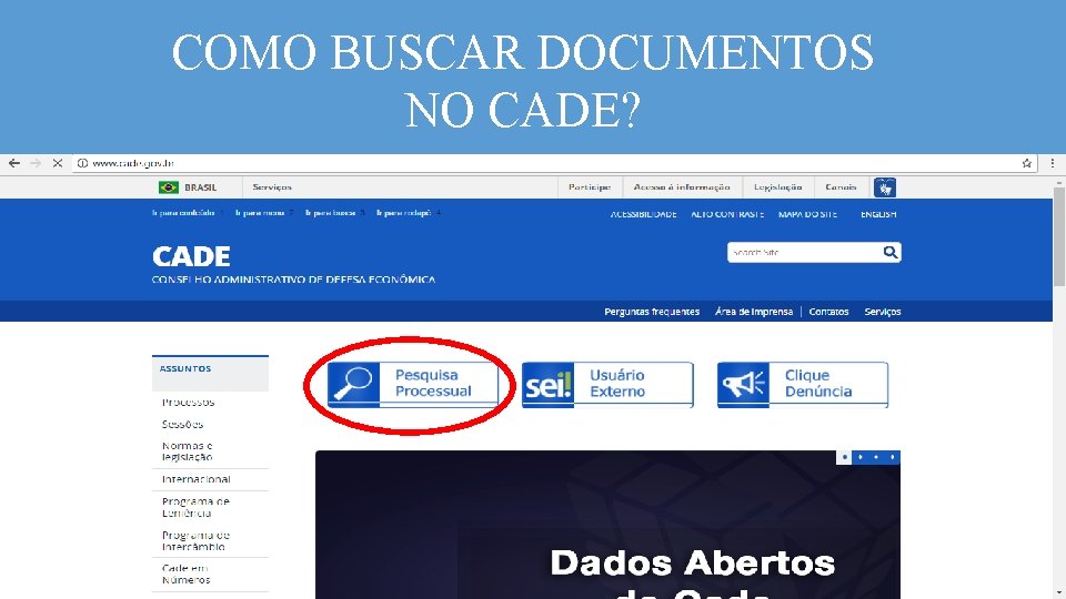 COMO BUSCAR DOCUMENTOS NO CADE? 12 