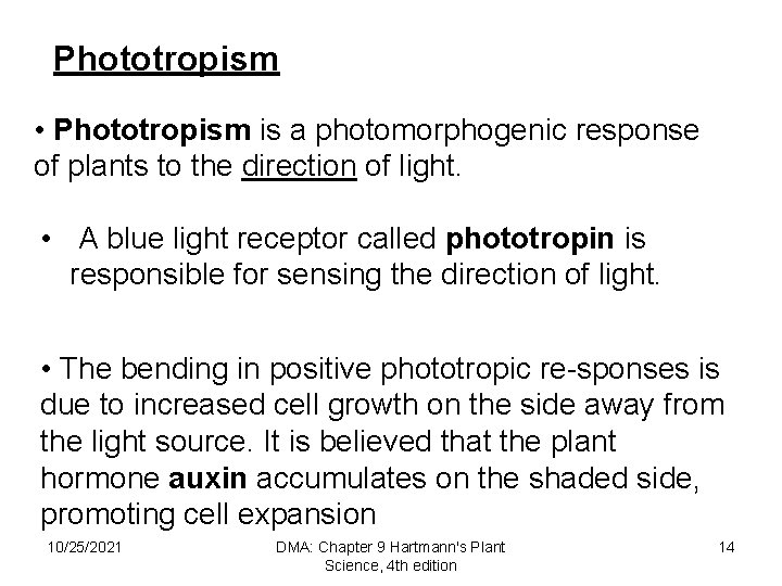 Phototropism • Phototropism is a photomorphogenic response of plants to the direction of light.