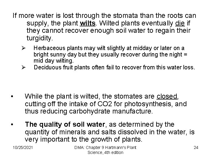 If more water is lost through the stomata than the roots can supply, the