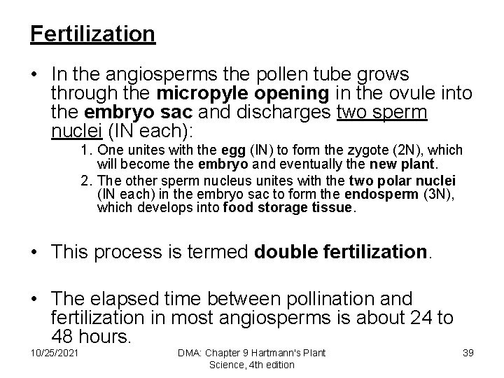 Fertilization • In the angiosperms the pollen tube grows through the micropyle opening in