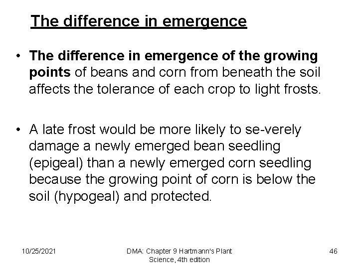 The difference in emergence • The difference in emergence of the growing points of