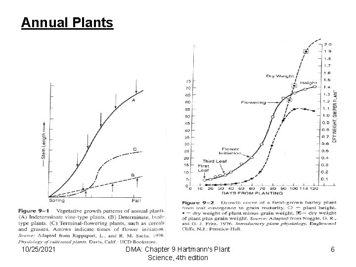 Annual Plants 10/25/2021 DMA: Chapter 9 Hartmann's Plant Science, 4 th edition 6 