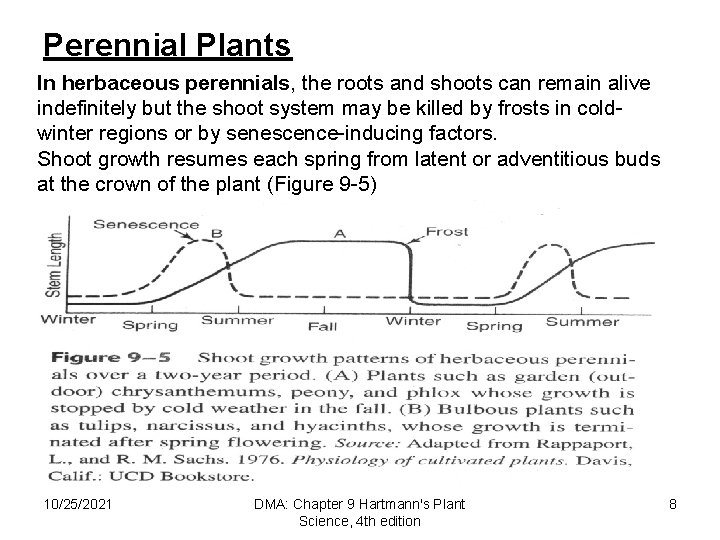 Perennial Plants In herbaceous perennials, the roots and shoots can remain alive indefinitely but