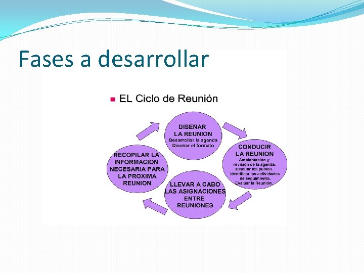 Fases a desarrollar 