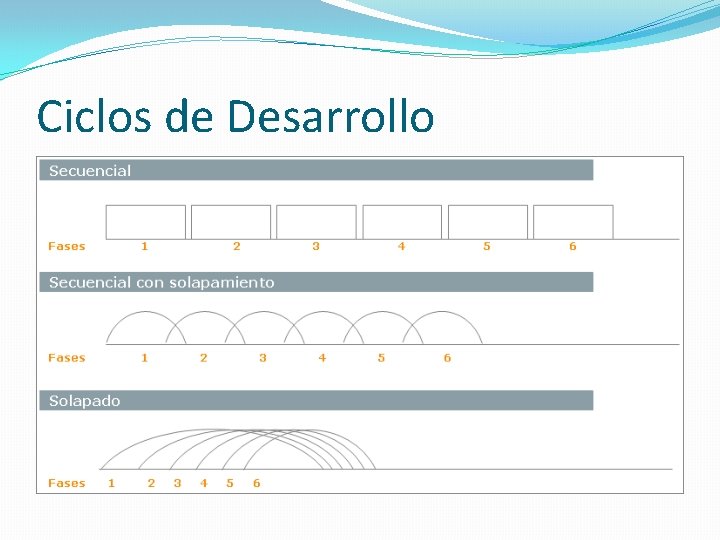 Ciclos de Desarrollo 