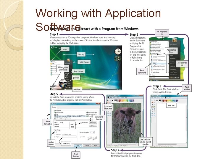 Working with Application Software 
