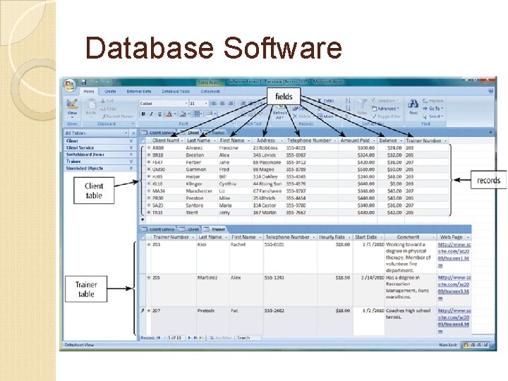 Database Software 