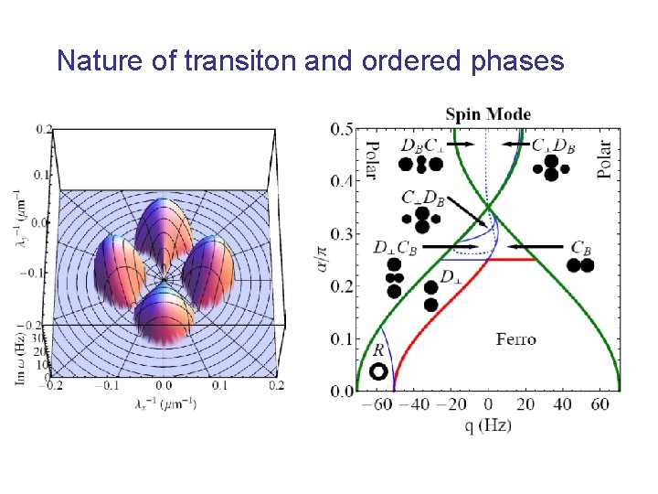 Nature of transiton and ordered phases 