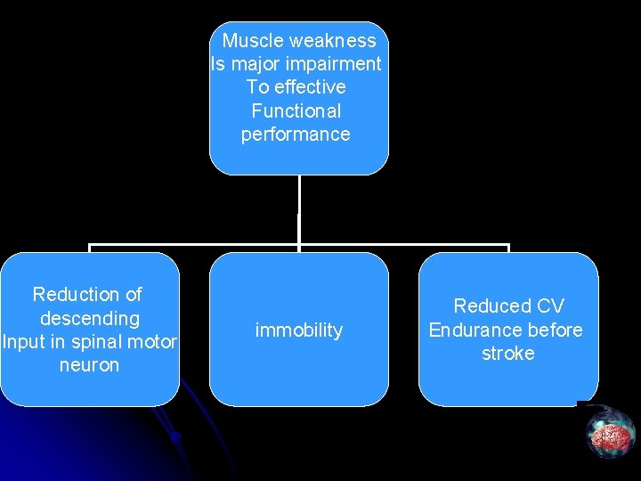 Muscle weakness Is major impairment To effective Functional performance Reduction of descending Input in