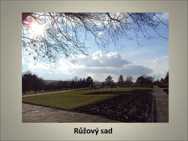 Růžový sad 