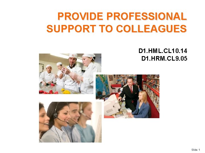 PROVIDE PROFESSIONAL SUPPORT TO COLLEAGUES D 1. HML. CL 10. 14 D 1. HRM.