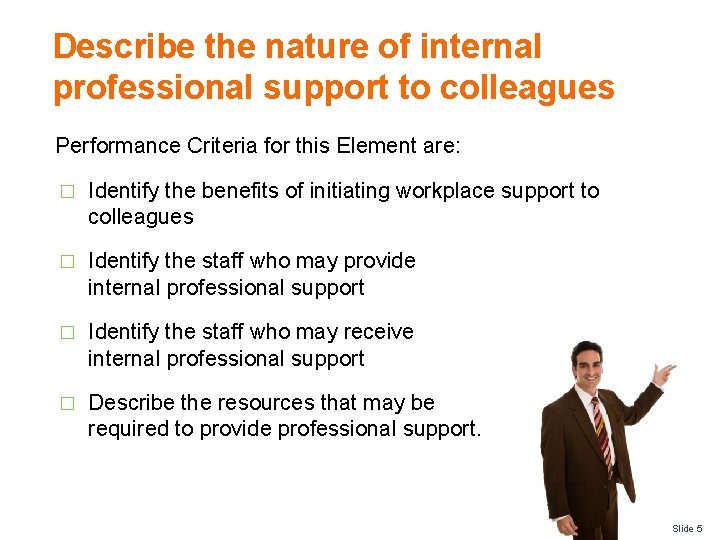 Describe the nature of internal professional support to colleagues Performance Criteria for this Element