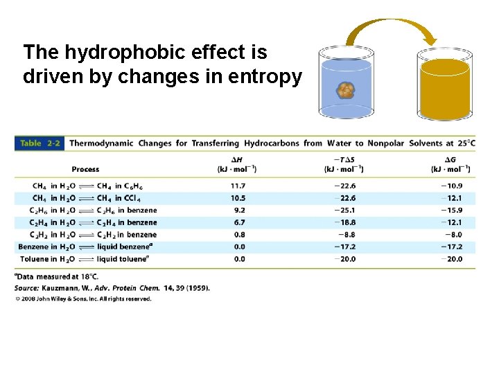 The hydrophobic effect is driven by changes in entropy The hydrophobic effect is driven by changes in entropy