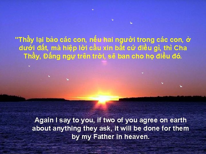 "Thầy lại bảo các con, nếu hai người trong các con, ở dưới đất, "Thầy lại bảo các con, nếu hai người trong các con, ở dưới đất,