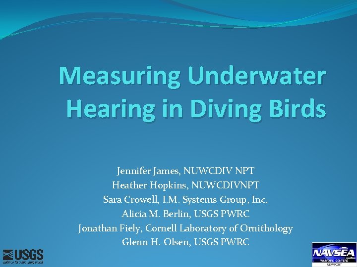 Measuring Underwater Hearing in Diving Birds Jennifer James, NUWCDIV NPT Heather Hopkins, NUWCDIVNPT Sara