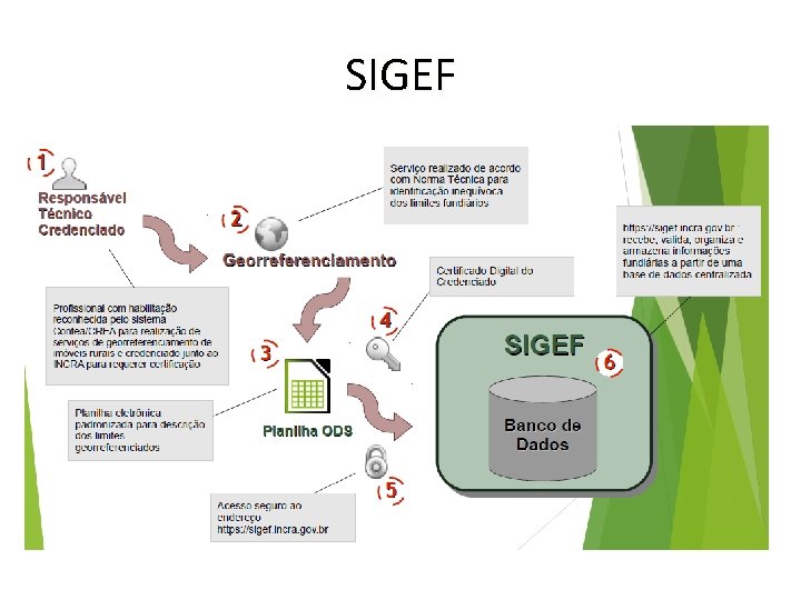 SIGEF 