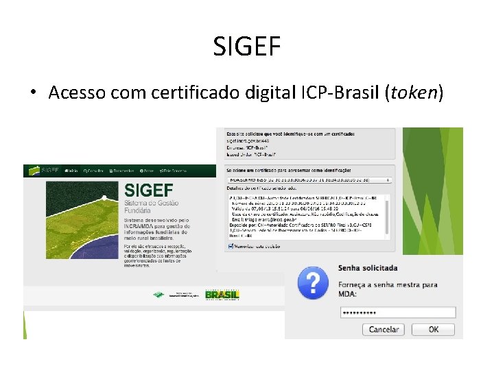 SIGEF • Acesso com certificado digital ICP-Brasil (token) 