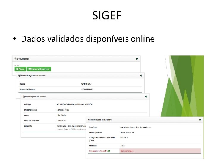 SIGEF • Dados validados disponíveis online 