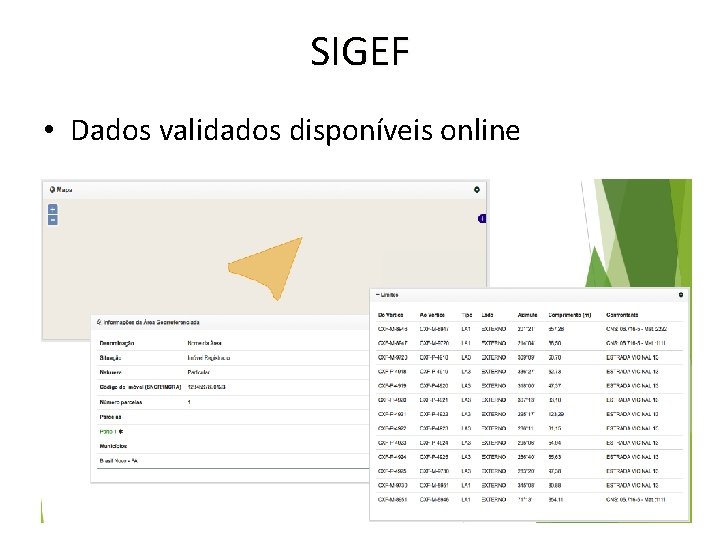 SIGEF • Dados validados disponíveis online 