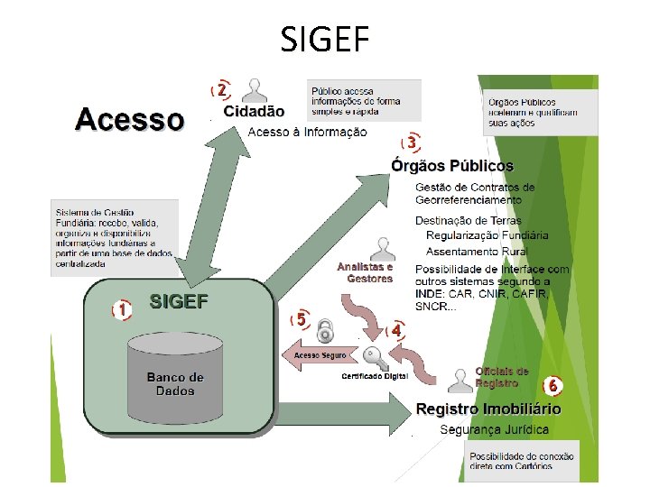 SIGEF 