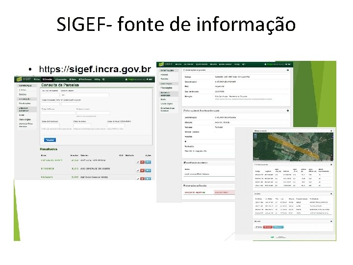 SIGEF- fonte de informação 