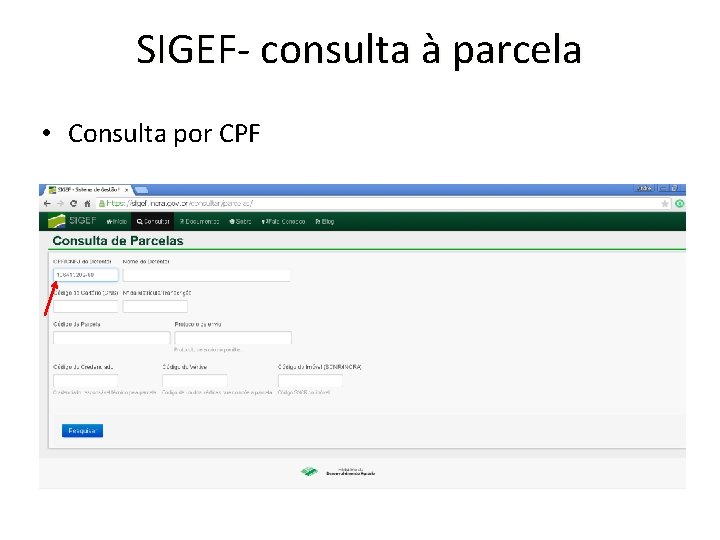 SIGEF- consulta à parcela • Consulta por CPF 