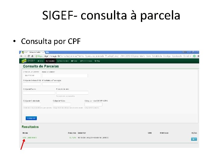 SIGEF- consulta à parcela • Consulta por CPF 