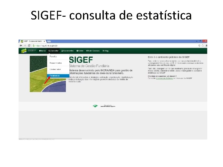 SIGEF- consulta de estatística 