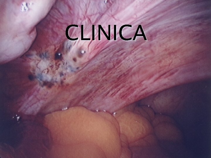 CLINICA 