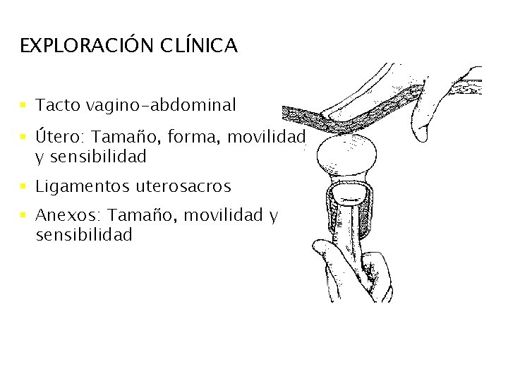 EXPLORACIÓN CLÍNICA § Tacto vagino-abdominal § Útero: Tamaño, forma, movilidad y sensibilidad § Ligamentos