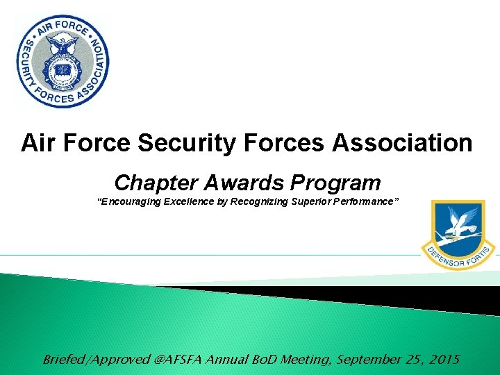 Air Force Security Forces Association Chapter Awards Program “Encouraging Excellence by Recognizing Superior Performance” Air Force Security Forces Association Chapter Awards Program “Encouraging Excellence by Recognizing Superior Performance”