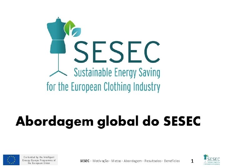 Co-funded by the Intelligent Energy Europe Programme of the European Union SESEC - Motivação