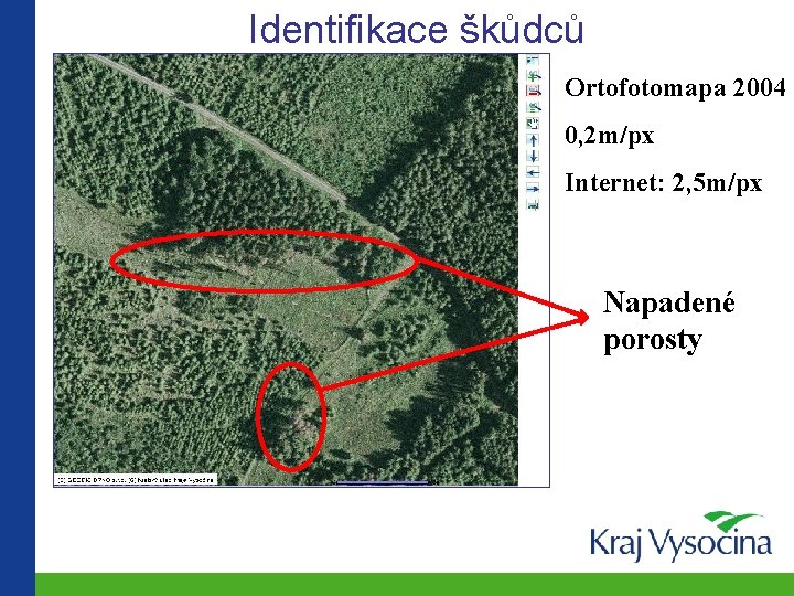 Identifikace škůdců Ortofotomapa 2004 0, 2 m/px Internet: 2, 5 m/px Napadené porosty 