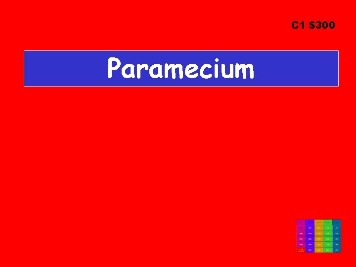 C 1 $300 Paramecium 