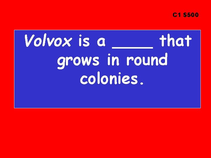 C 1 $500 Volvox is a ____ that grows in round colonies. 