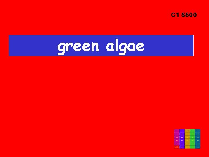 C 1 $500 green algae 