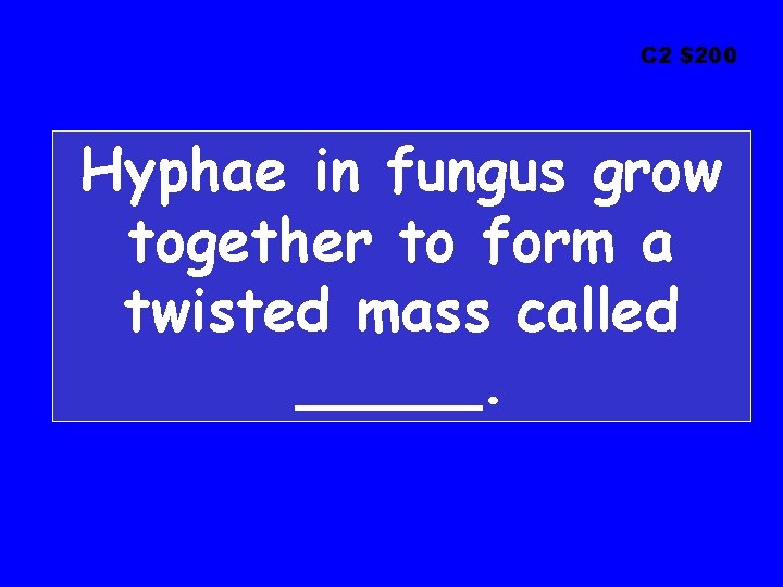 C 2 $200 Hyphae in fungus grow together to form a twisted mass called