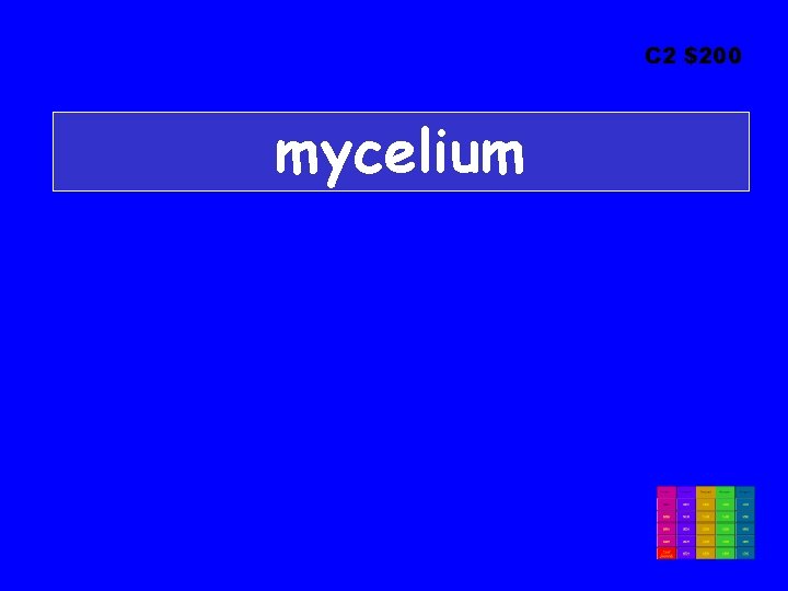 C 2 $200 mycelium 