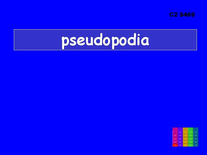 C 2 $400 pseudopodia 