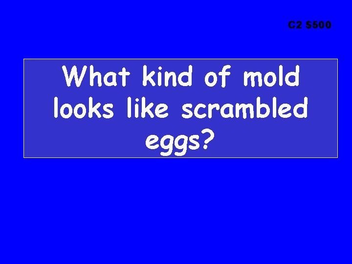 C 2 $500 What kind of mold looks like scrambled eggs? 