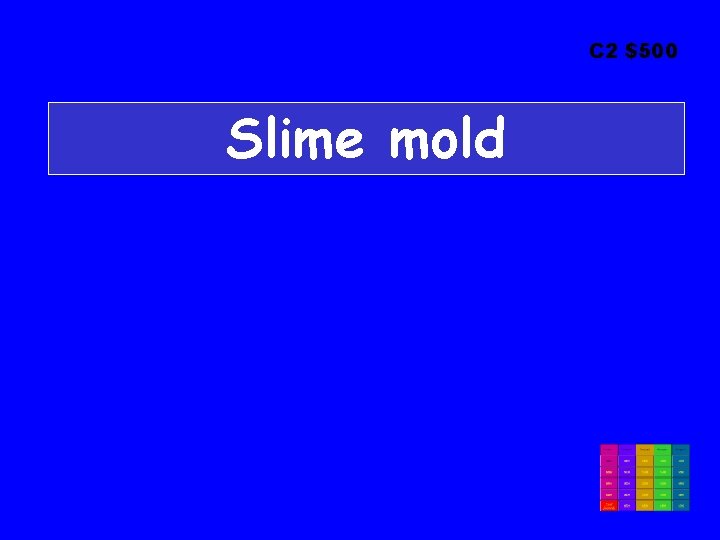 C 2 $500 Slime mold 