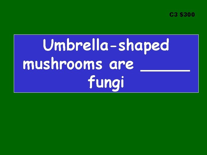 C 3 $300 Umbrella-shaped mushrooms are _____ fungi 