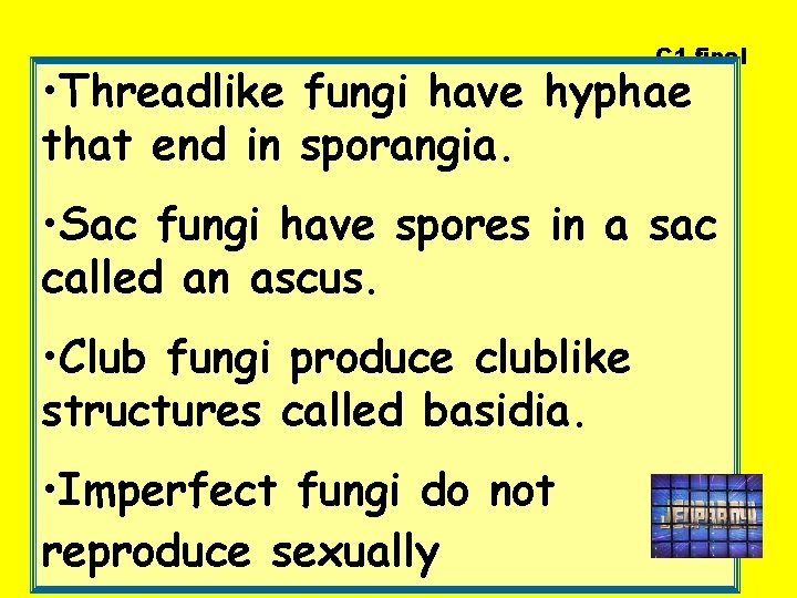 C 1 final • Threadlike fungi have hyphae that end in sporangia. • Sac