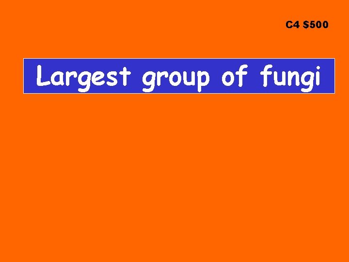 C 4 $500 Largest group of fungi 
