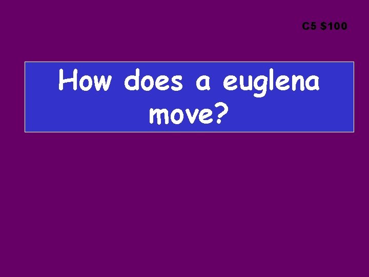 C 5 $100 How does a euglena move? 