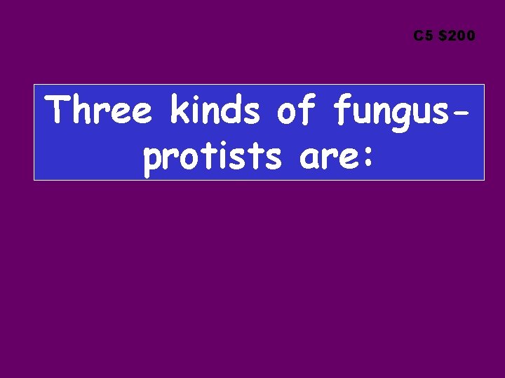 C 5 $200 Three kinds of fungusprotists are: 