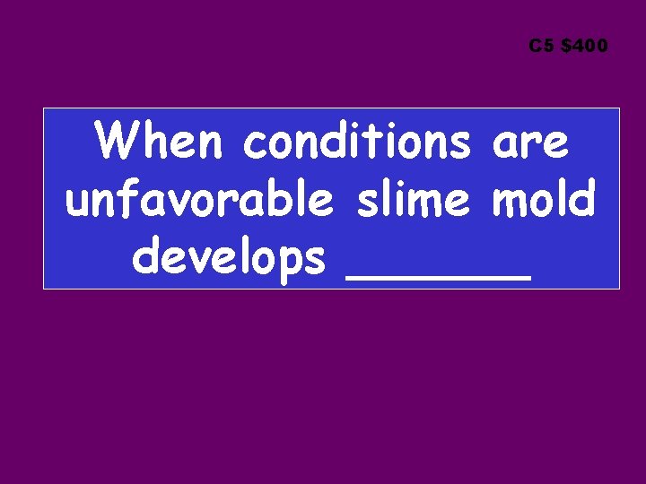 C 5 $400 When conditions are unfavorable slime mold develops ______ 