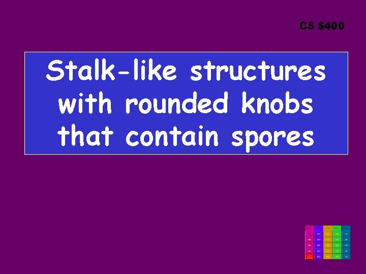 C 5 $400 Stalk-like structures with rounded knobs that contain spores 