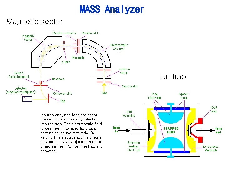 MASS Analyzer Magnetic sector Ion trap analyser. Ions are either created within or rapidly